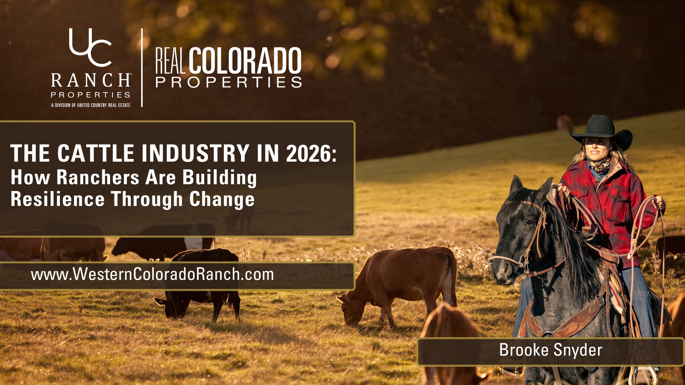 The Cattle Industry in 2026: How Ranchers Are Building Resilience Through Change